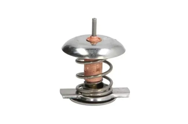 Termostato D2Y002TT Thermotec