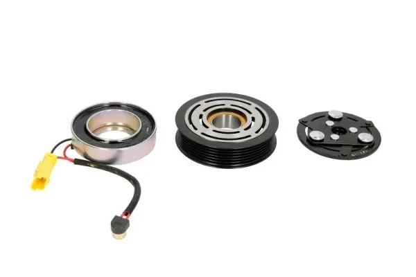Polea Compresor A/C Citroen Berlingo (K9)