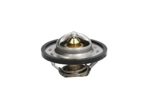 Termostato D2C001TT Thermotec