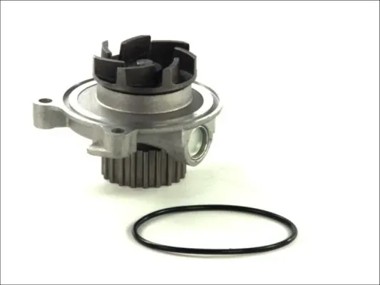 Bomba de agua D1A027TT Thermotec