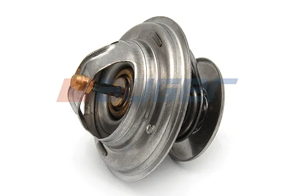 Termostato MAN TGX I