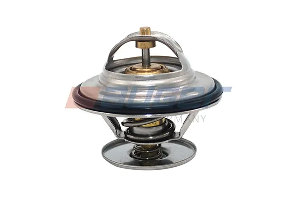 Termostato 161291KZ874215 Deutz