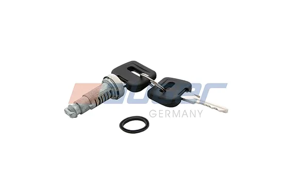 Cilindros de cerradura DAF 105 XF