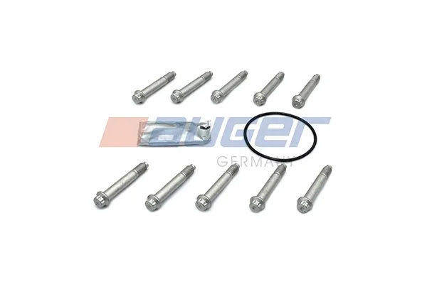Tornillo de la pinza de freno 1011907 Schmitz