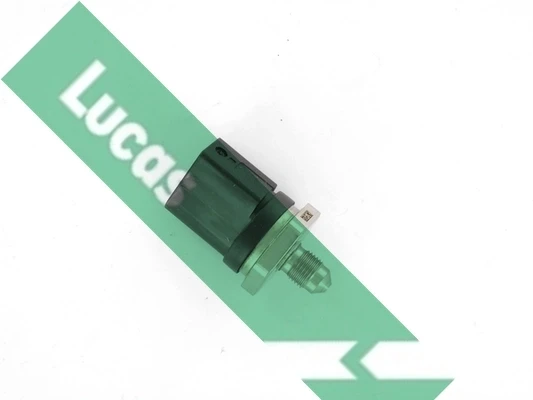 SEB7511 Lucas