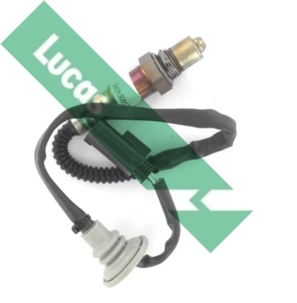 LEB5129 Lucas
