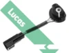 SEB224 Lucas