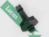 LLS311 Lucas