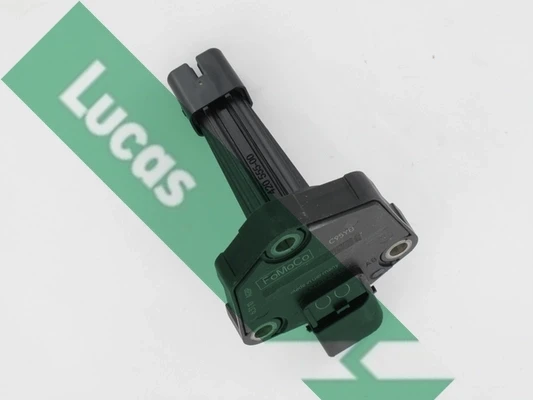 LLS311 Lucas