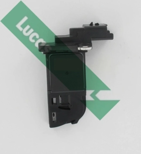 FDM5009 Lucas