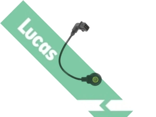 SEB1475 Lucas