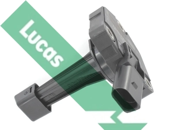LLS305 Lucas