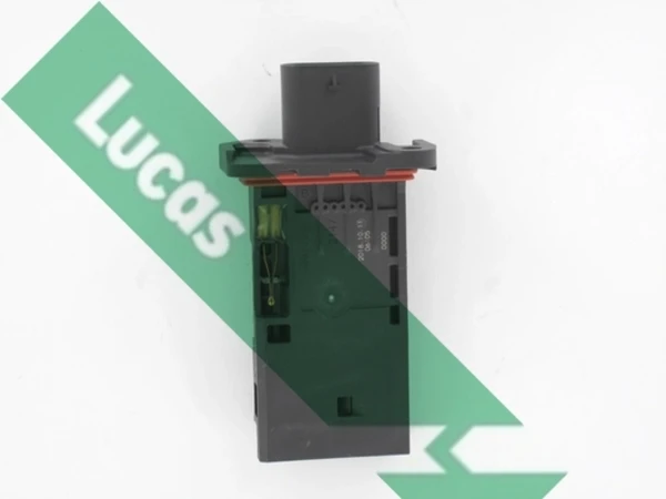 FDM5048 Lucas