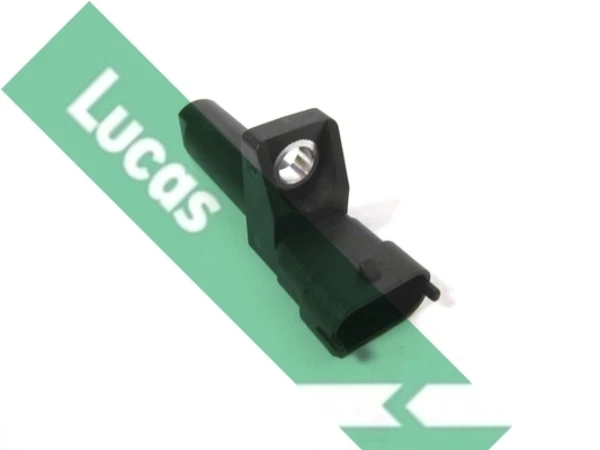 SEB2095 Lucas