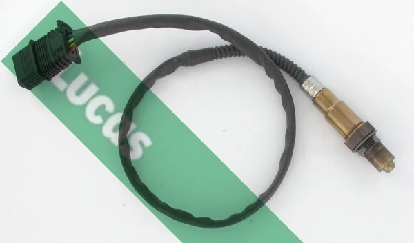 LEB5460 Lucas
