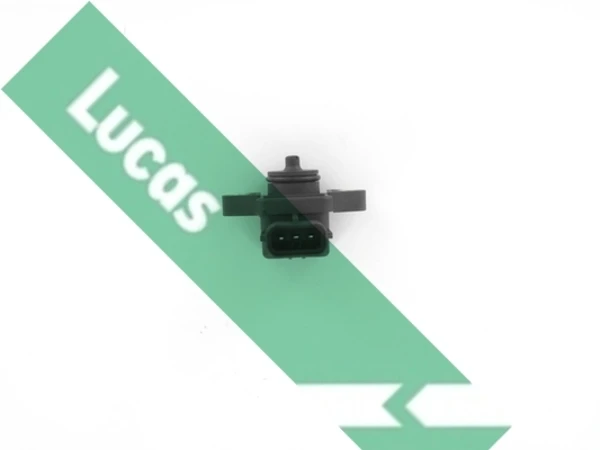 SEB7045 Lucas