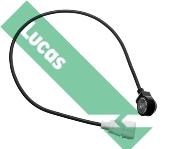 SEB1270 Lucas