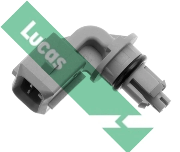 SNB984 Lucas