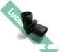 SEB2067 Lucas