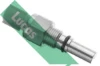 SNB661 Lucas
