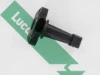 LLS311 Lucas