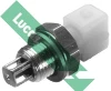 SNB818 Lucas