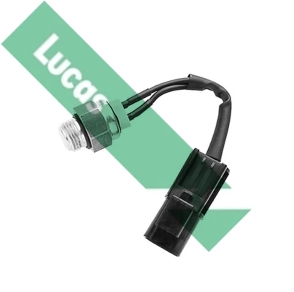 SNB867 Lucas