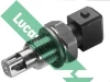 SNB819 Lucas