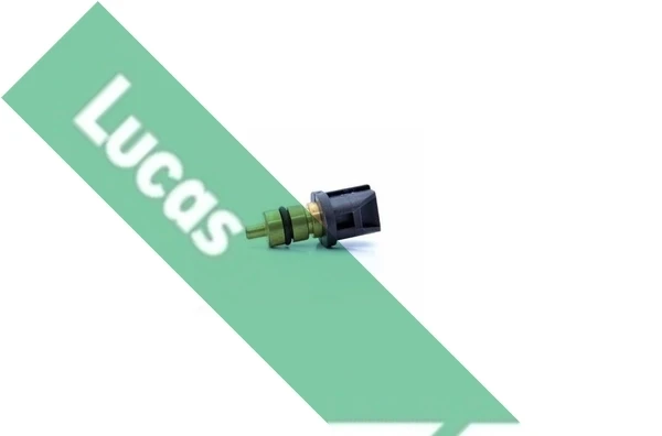 SNB5115 Lucas