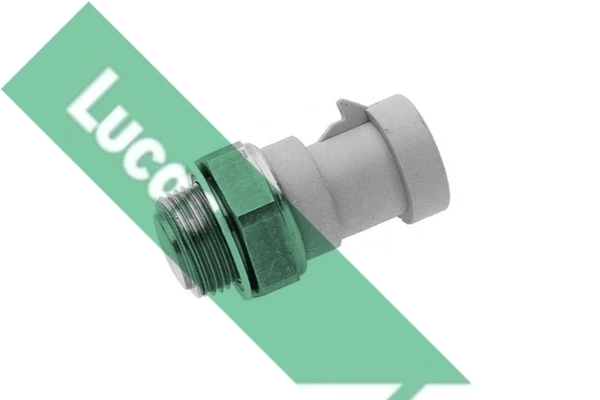 SNB676 Lucas