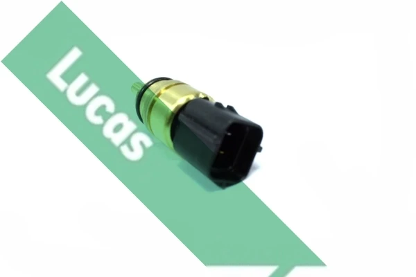 SNB1442 Lucas