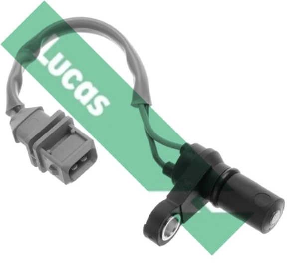 SEB1340 Lucas