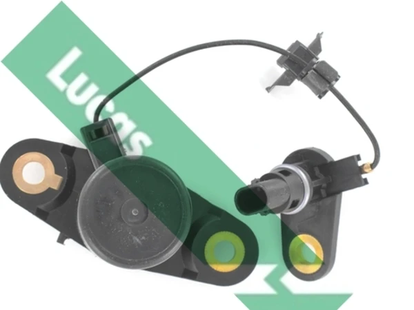 LLS315 Lucas