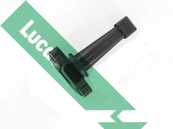 LLS316 Lucas