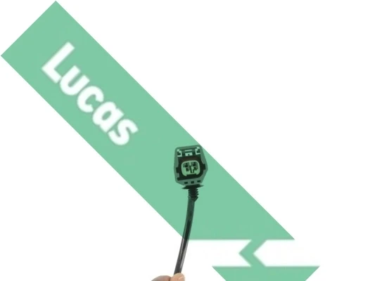 SEB1462 Lucas