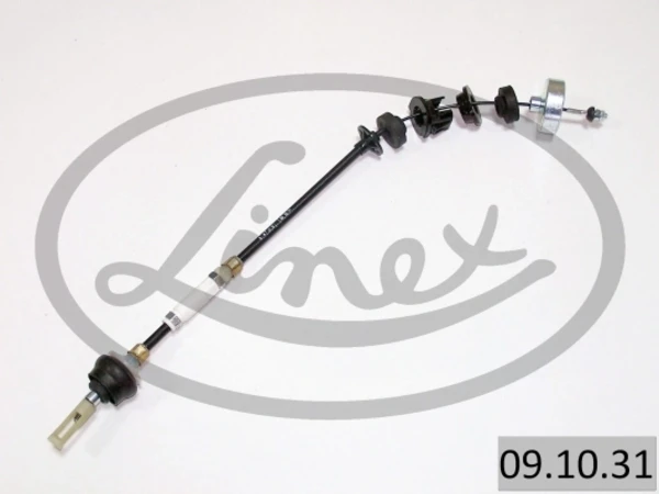 091031 Linex