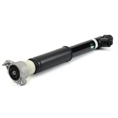 Amortiguador trasero SK3059 Arnott