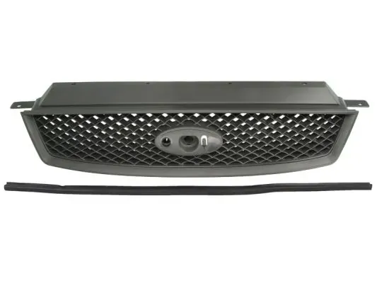 Parrilla Ford C-Max DM2