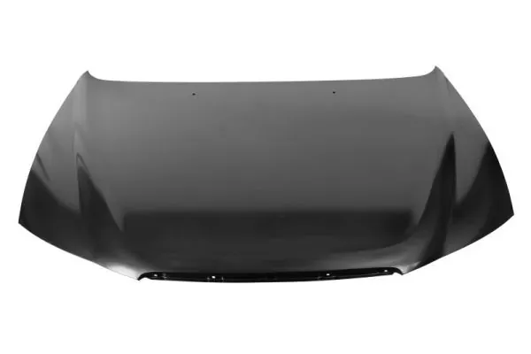 Capó Hyundai Sonata V