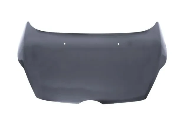 Capot para Ford Fiesta 6 (CB1)