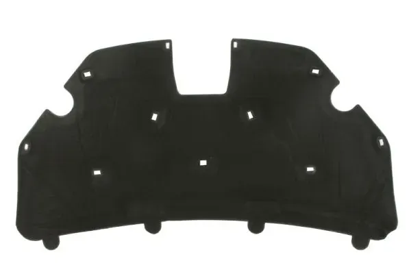 Aislamiento del Capó Ford C-Max DM2