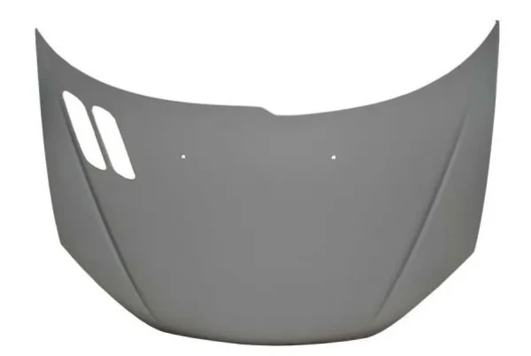 Capot para Peugeot 206 (2D)