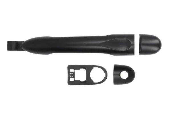Tirador de puerta exterior delantero Renault Megane 3 (KZ0)