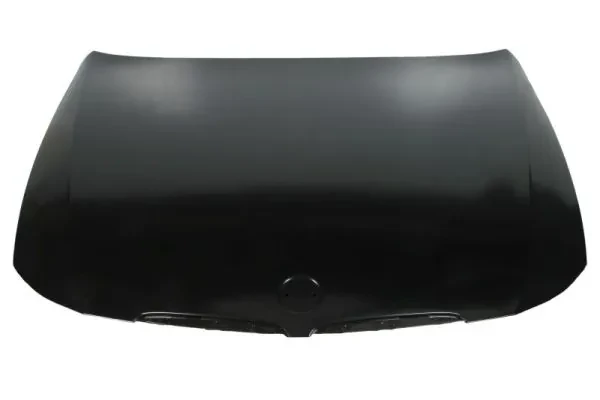 Capot para BMW 3 (E90)