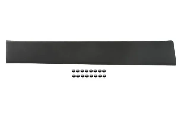 Moldura de puerta corredera 7685000Q2A Nissan/Infiniti