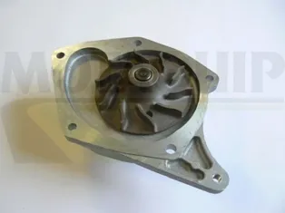 Bomba de agua VWP878 Motaquip