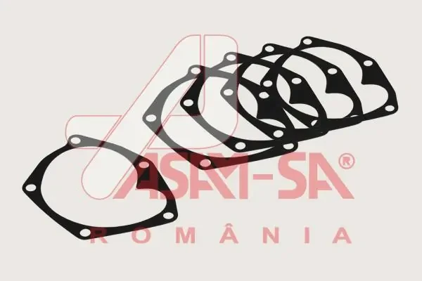 Junta, bomba de agua Nissan Qashqai 2 (J10)