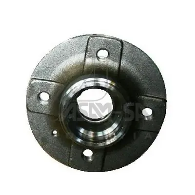 Cubo de rueda trasero 55182 Asam