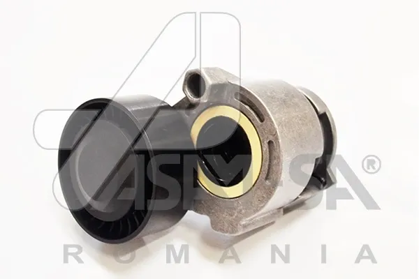 Polea tensora correa poli V Renault Kangoo II