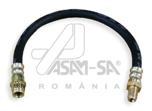 30323 Asam